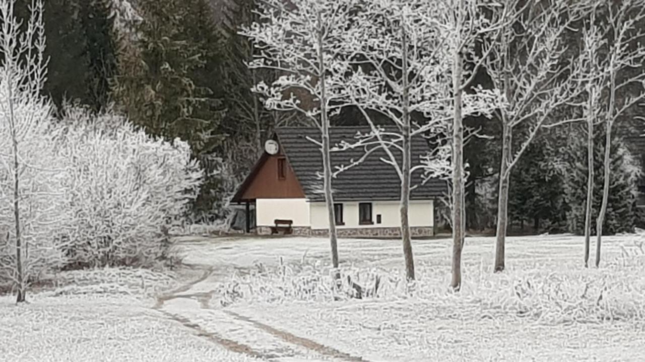 Pocitniska Hisa Taler Villa Bohinj Esterno foto