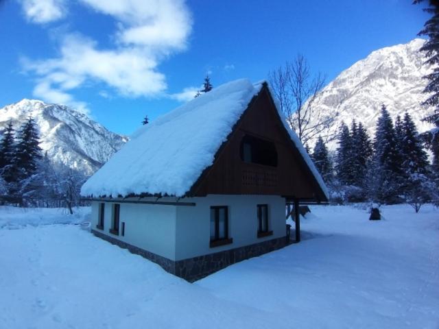 Pocitniska Hisa Taler Villa Bohinj Esterno foto